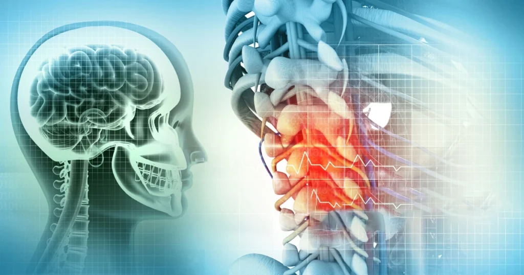 Brain and spine illustration showing cognitive impact signals.